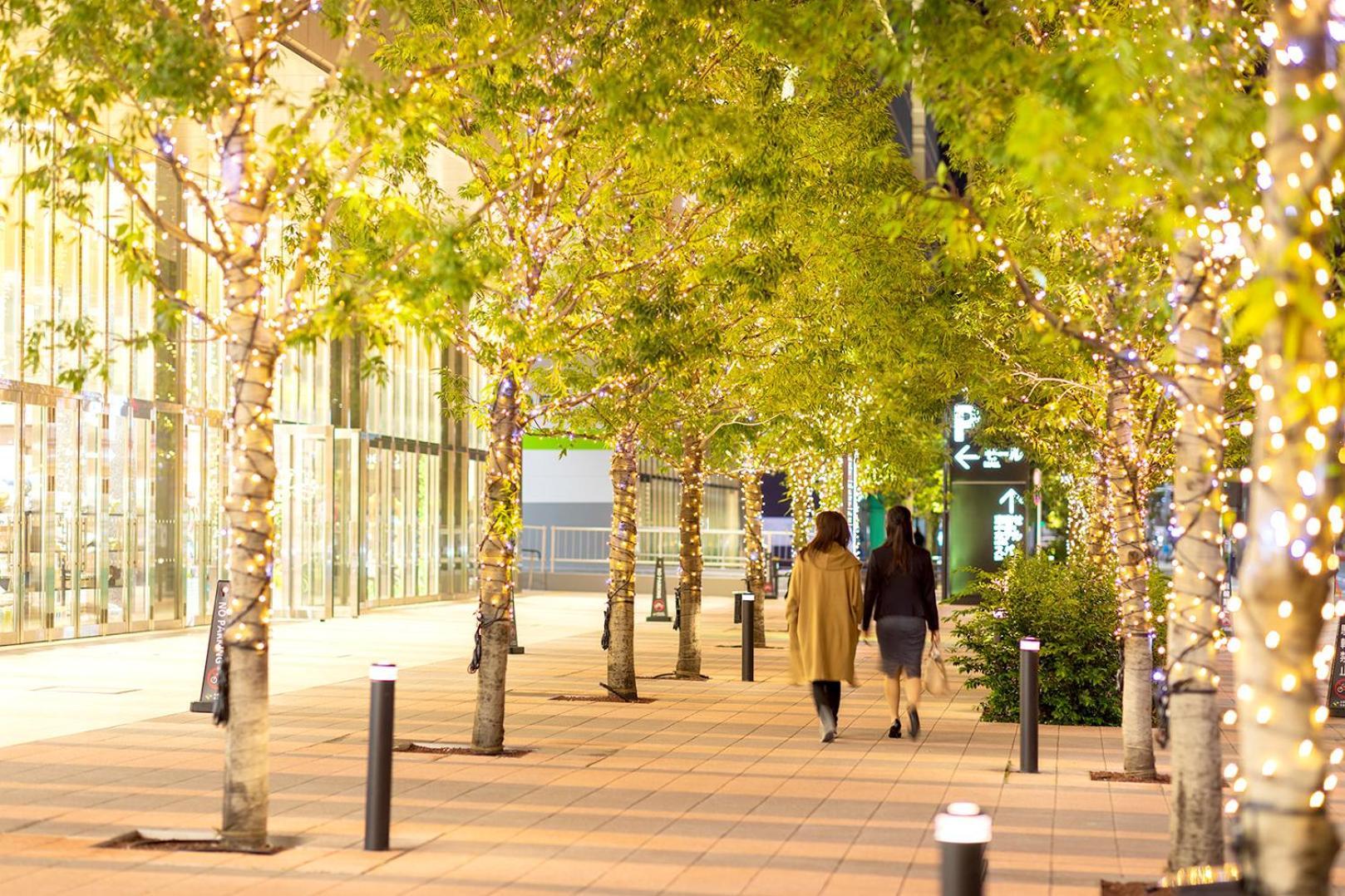 Villa Fontaine Grand Tokyo Ariake Tóquio Exterior foto